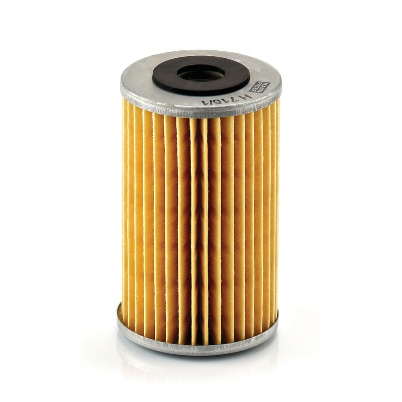 MANN FILTER Motorölfilter H 715/1N MANN FILTER