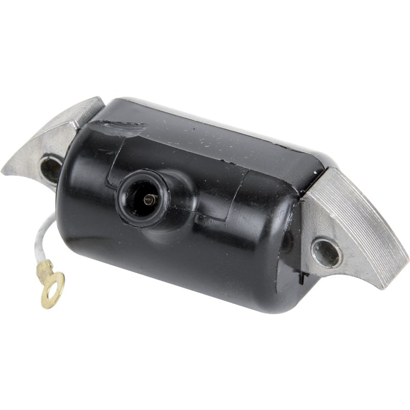 Rotax Zündanker 125, 150, 151, 165, 185 264335 – Lochabstand 55 mm Rotax