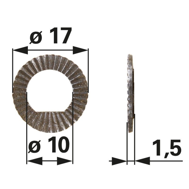 Rotax Reibscheibe 17 x 10 mm 927650 Rotax