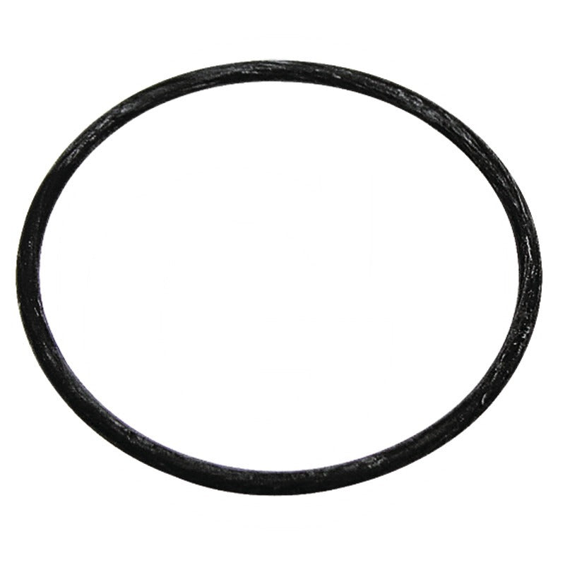 ARAG O-Ring D (mm) 10,5