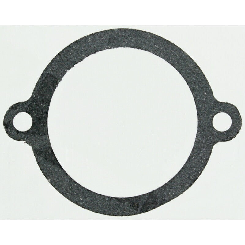 BRIGGS & STRATTON Dichtung – 715271910 BRIGGS & STRATTON
