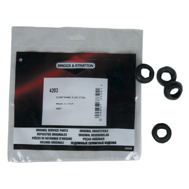 BRIGGS & STRATTON VPE5 Öldichtring