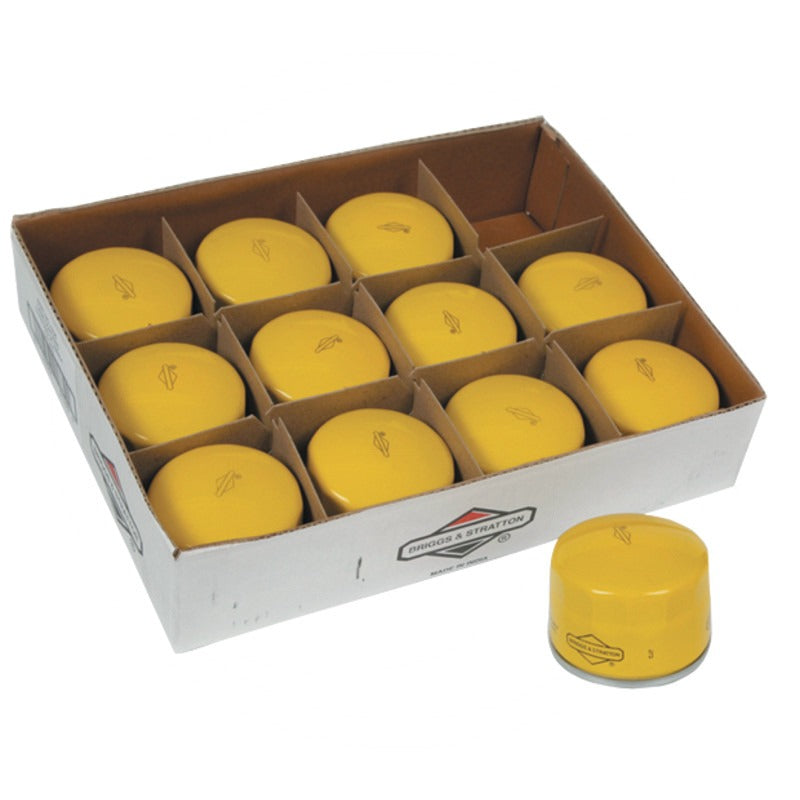 BRIGGS & STRATTON VPE12 Ölfilter Inhalt 12x 696854