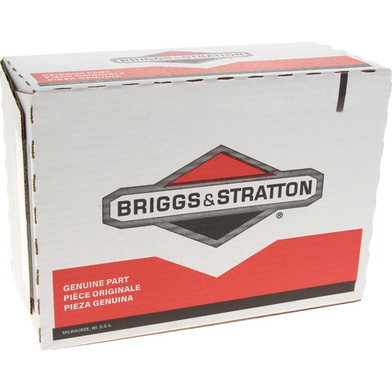 BRIGGS & STRATTON VPE5 Luftilter Vorteilspack ( 5) – 7154243 BRIGGS & STRATTON