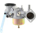 BRIGGS & STRATTON Vergaser – 715491026 BRIGGS & STRATTON