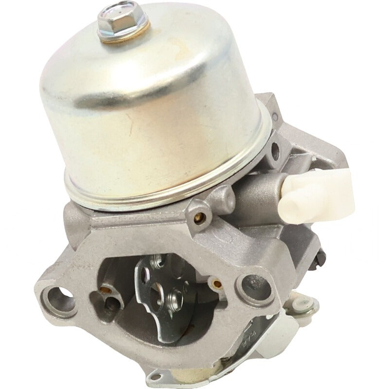 BRIGGS & STRATTON Vergaser – 715495784 BRIGGS & STRATTON