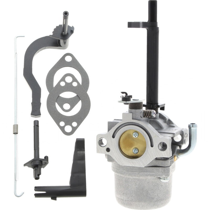 BRIGGS & STRATTON Vergaser – 715591378 BRIGGS & STRATTON