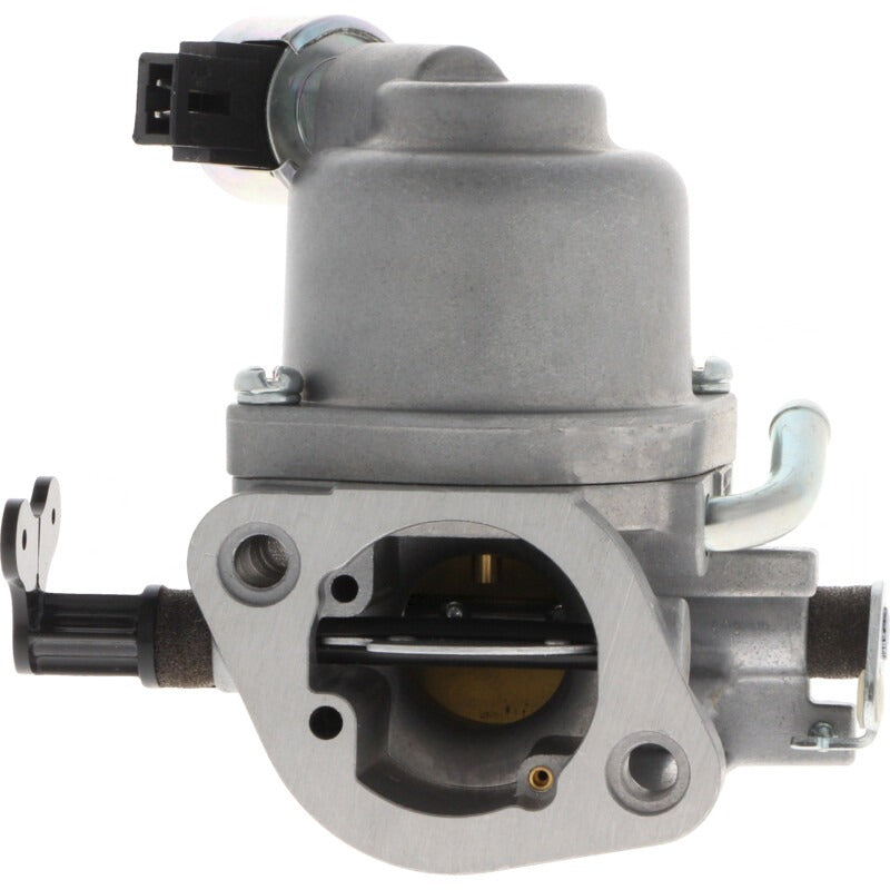 BRIGGS & STRATTON Vergaser – 715594207 BRIGGS & STRATTON