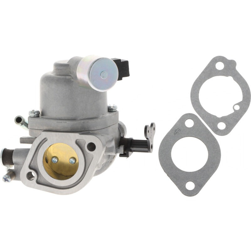 BRIGGS & STRATTON Vergaser – 715594207 BRIGGS & STRATTON