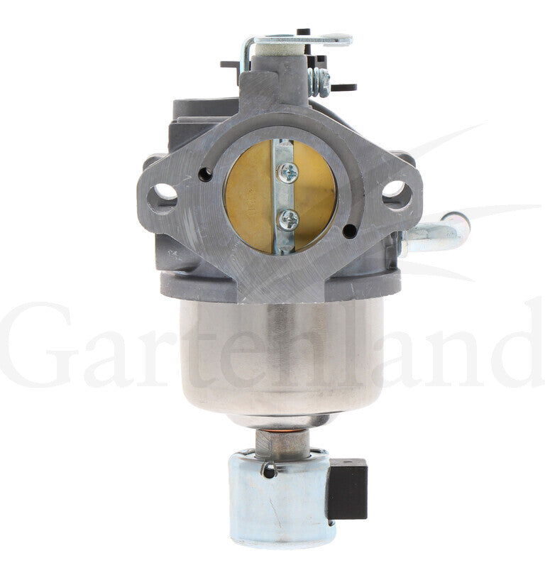 BRIGGS & STRATTON Vergaser – 715594593 BRIGGS & STRATTON