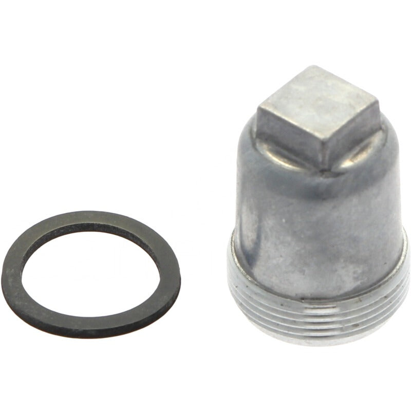BRIGGS & STRATTON Gehause-Kraftstofffilter – 715595153 BRIGGS & STRATTON