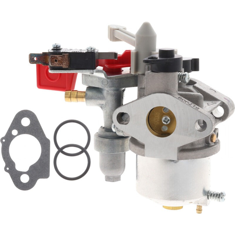 BRIGGS & STRATTON Vergaser – 715595318 BRIGGS & STRATTON