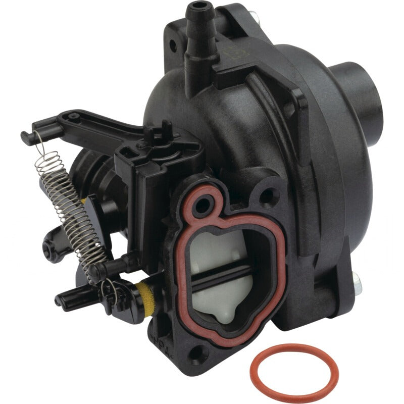 BRIGGS & STRATTON Vergaser – 715595489 BRIGGS & STRATTON