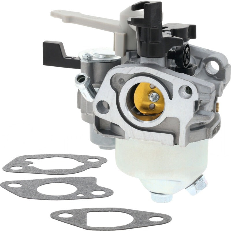 BRIGGS & STRATTON Vergaser – 715595649 BRIGGS & STRATTON