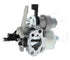 BRIGGS & STRATTON Vergaser – 715595649 BRIGGS & STRATTON