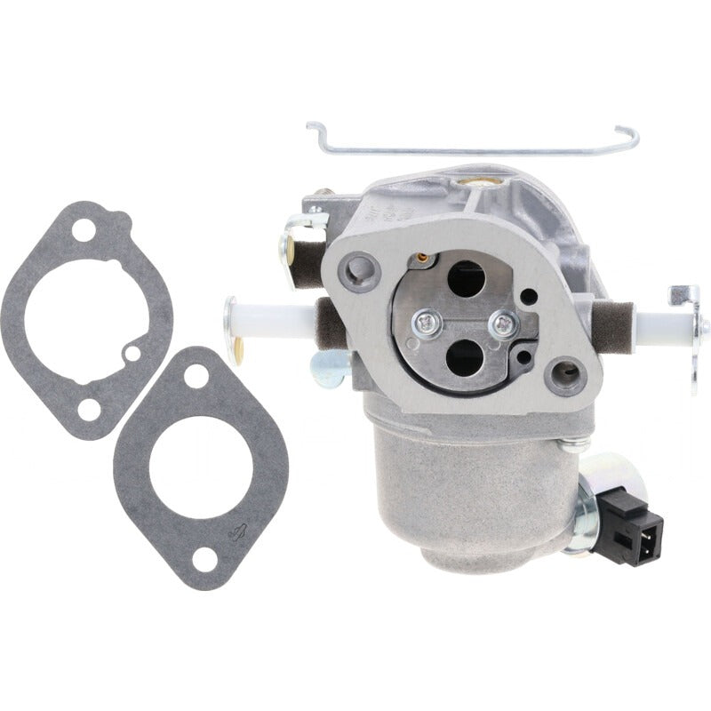 BRIGGS & STRATTON Vergaser – 715597126 BRIGGS & STRATTON