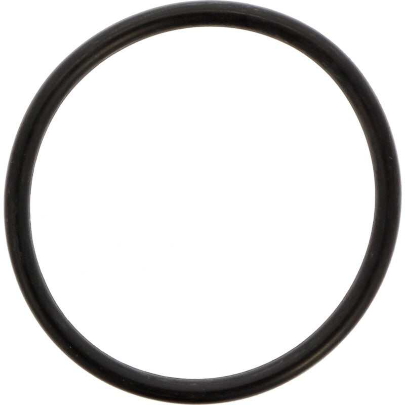BRIGGS & STRATTON O-Ring – 715690589 BRIGGS & STRATTON