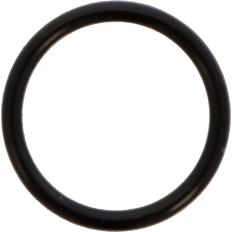BRIGGS & STRATTON O-Ring – 715692053 BRIGGS & STRATTON