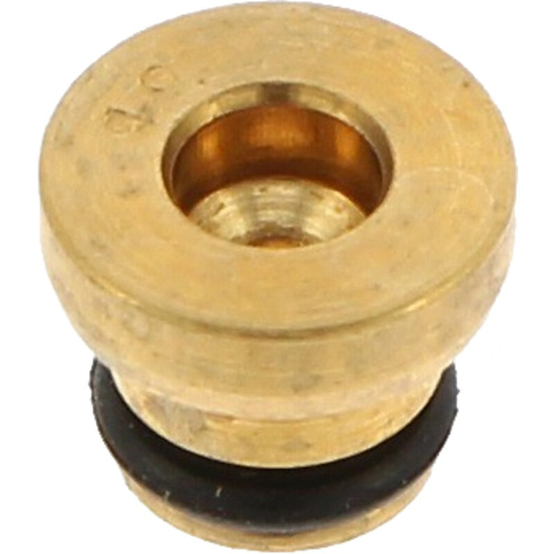 BRIGGS & STRATTON Düse-Haupt – 715699897 BRIGGS & STRATTON