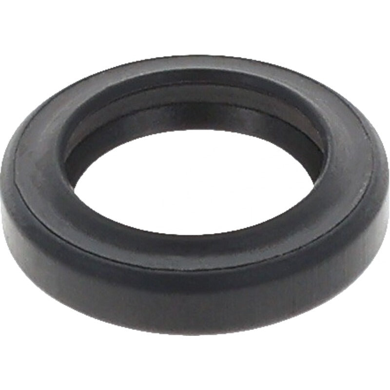 BRIGGS & STRATTON Dichtung Reglerwelle – 715790574 BRIGGS & STRATTON