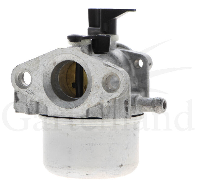 BRIGGS & STRATTON Vergaser – 715790978 BRIGGS & STRATTON
