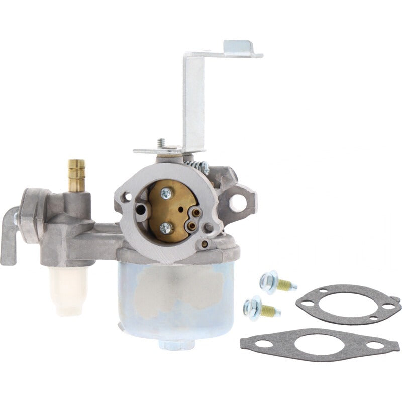 BRIGGS & STRATTON Vergaser – 715796447 BRIGGS & STRATTON