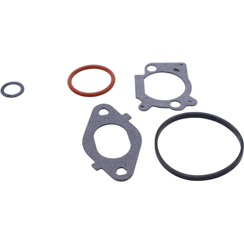 BRIGGS & STRATTON Vergaserubh.Satz – 715796612 BRIGGS & STRATTON