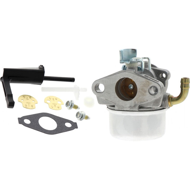 BRIGGS & STRATTON Vergaser – 715798653 BRIGGS & STRATTON