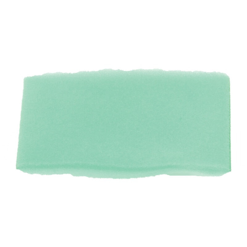 BRIGGS & STRATTON Vorfilter – 715798911 BRIGGS & STRATTON