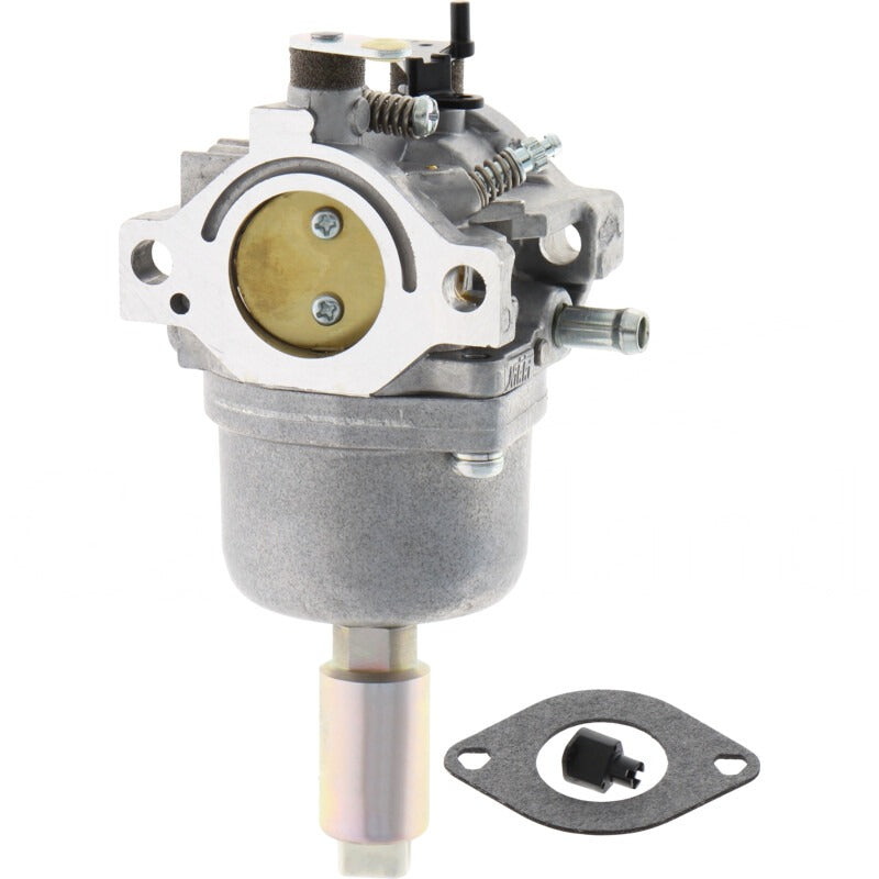 BRIGGS & STRATTON Vergaser – 715799727 BRIGGS & STRATTON