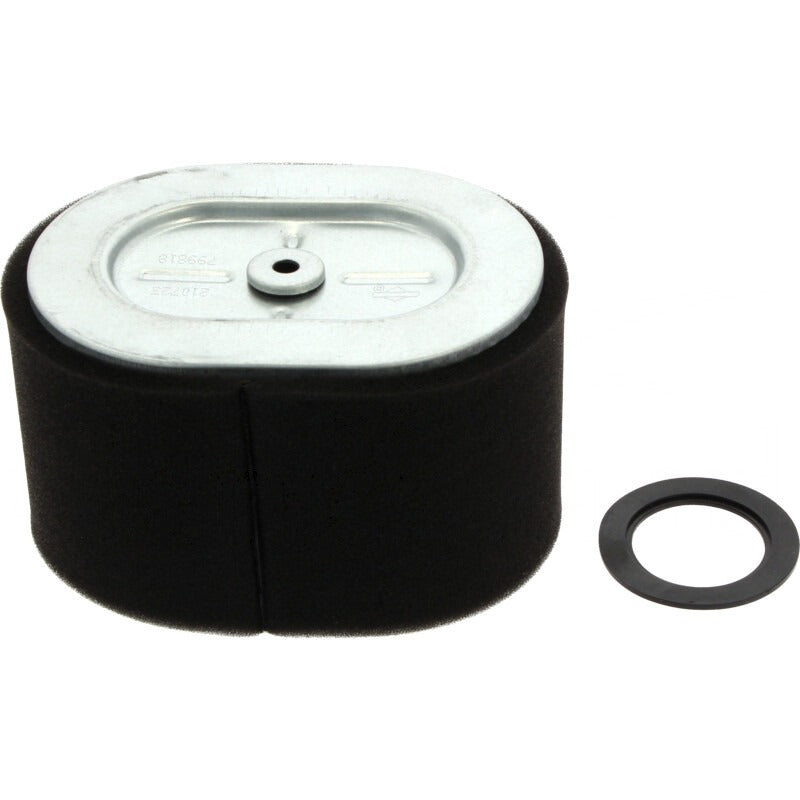 BRIGGS & STRATTON Luftfilter – 715799818 BRIGGS & STRATTON