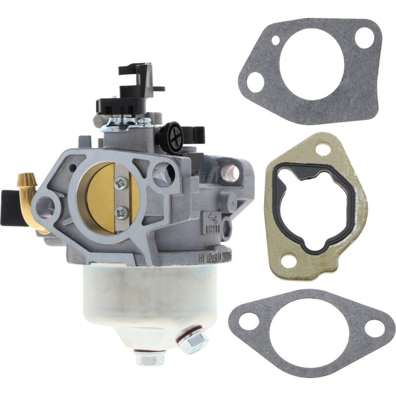 BRIGGS & STRATTON Vergaser – 715799882 BRIGGS & STRATTON