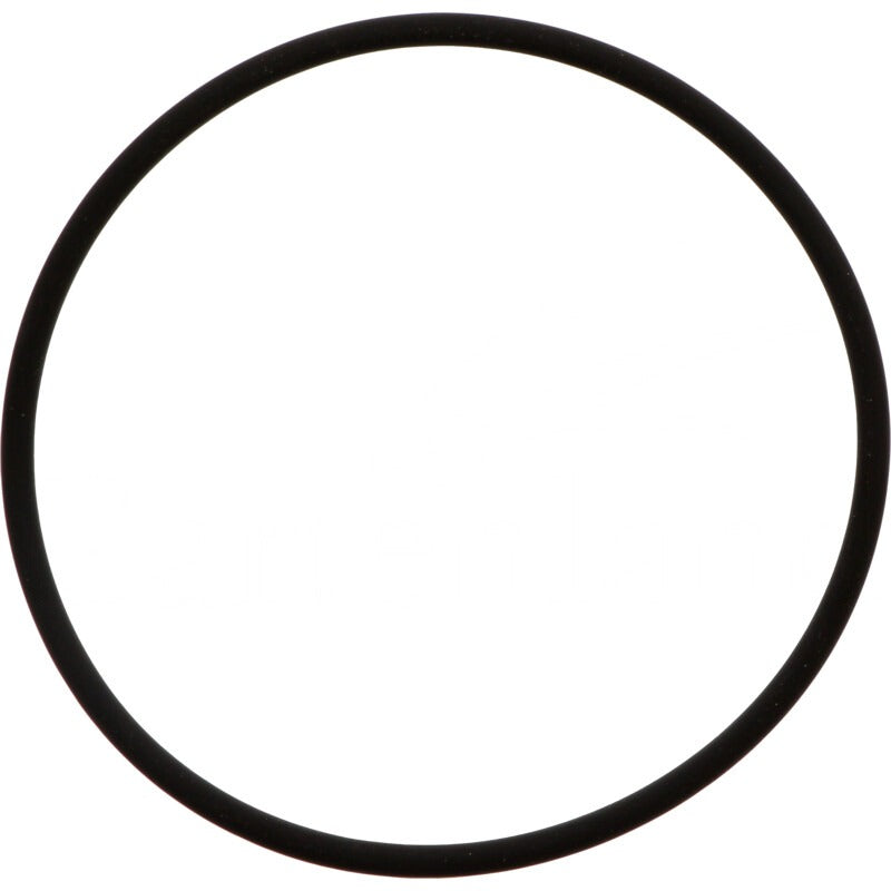 BRIGGS & STRATTON Dichtring – 715806466 BRIGGS & STRATTON