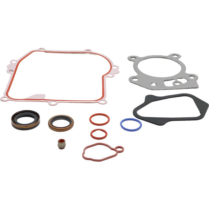 BRIGGS & STRATTON Dichtungssatz, Motor – 71584006586 BRIGGS & STRATTON
