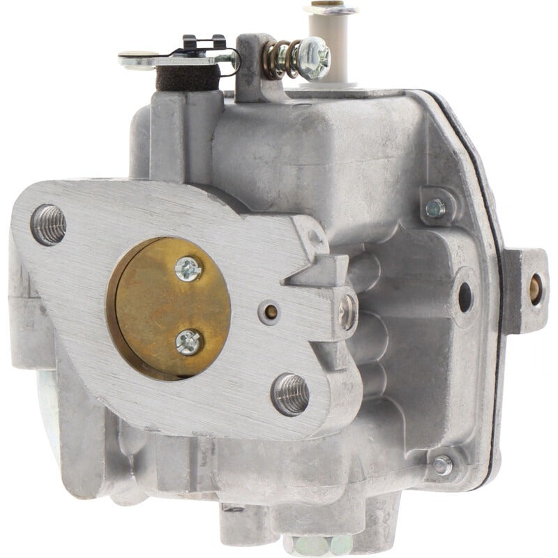 BRIGGS & STRATTON Vergaser – 715846109 BRIGGS & STRATTON
