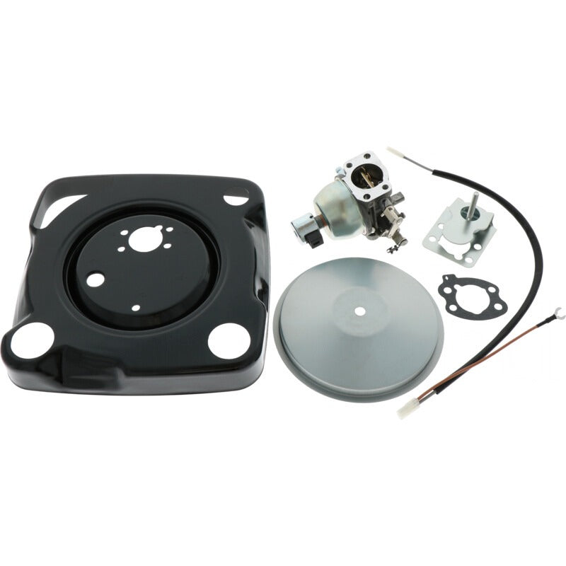 BRIGGS & STRATTON Vergaser – 715846944 BRIGGS & STRATTON