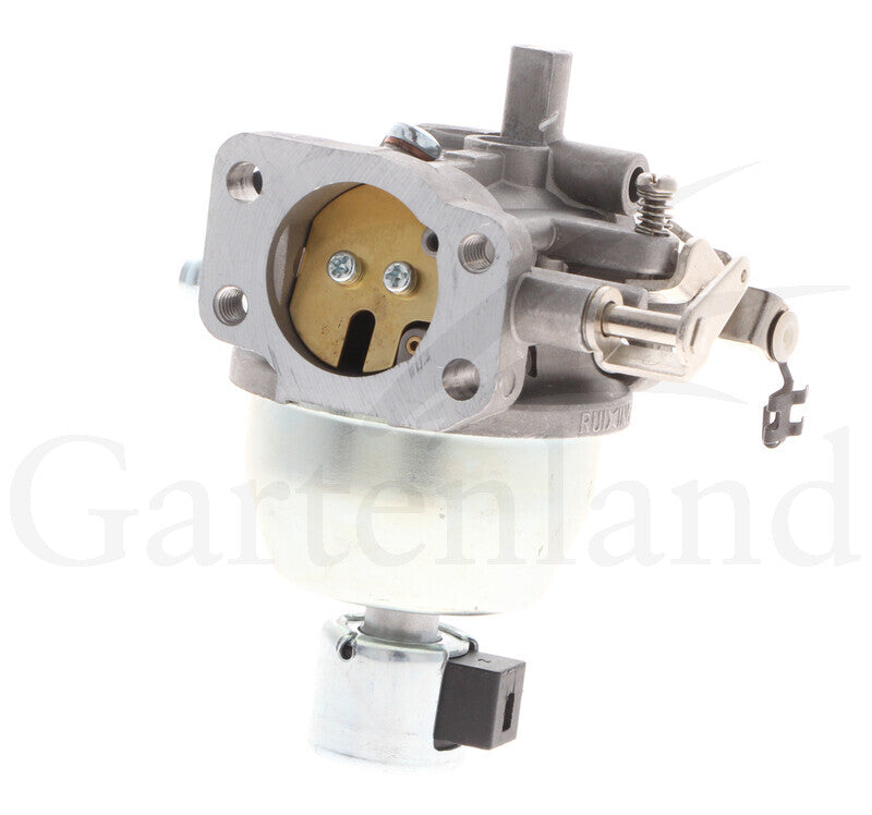 BRIGGS & STRATTON Vergaser – 715846944 BRIGGS & STRATTON