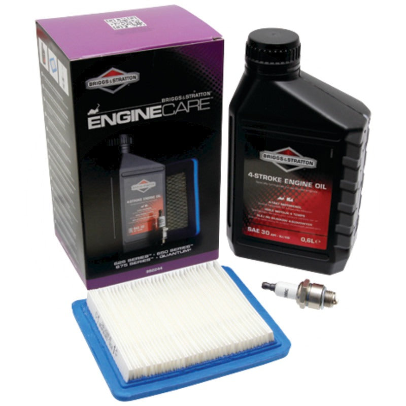 BRIGGS & STRATTON Wartungs-Kit Inhalt 1x 100005E Motorenöl SAE30 0,6 Li