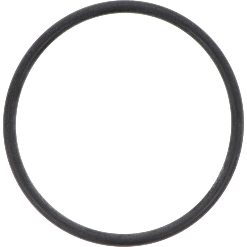 GRANIT O-Ring – 02/910886