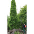 Birchmeier Teleskop-Lanze – 1500 - 7000 mm – Bild 3