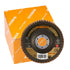 RHODIUS VPE10 Fächerschleifscheibe Jumbo Speed Ceramic