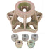 KS Tools Radlager-Satz, 6-tlg., hinten passend für Ford – 220 mm