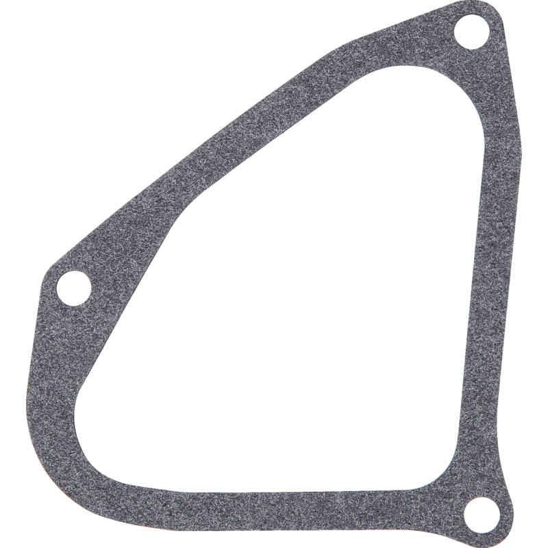 Stiga Ventildeckeldichtung für Modell: RS100 118550680/0 – passend zu Modell Stiga RV100 Stiga