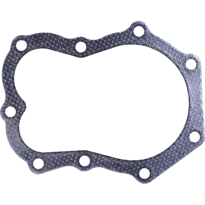 Briggs und Stratton Zylinderkopfdichtung – passend für Modelle: 422431-422447 Briggs und Stratton