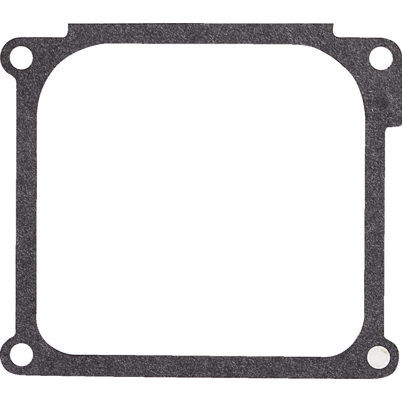 Briggs und Stratton Dichtung 272063 Briggs und Stratton