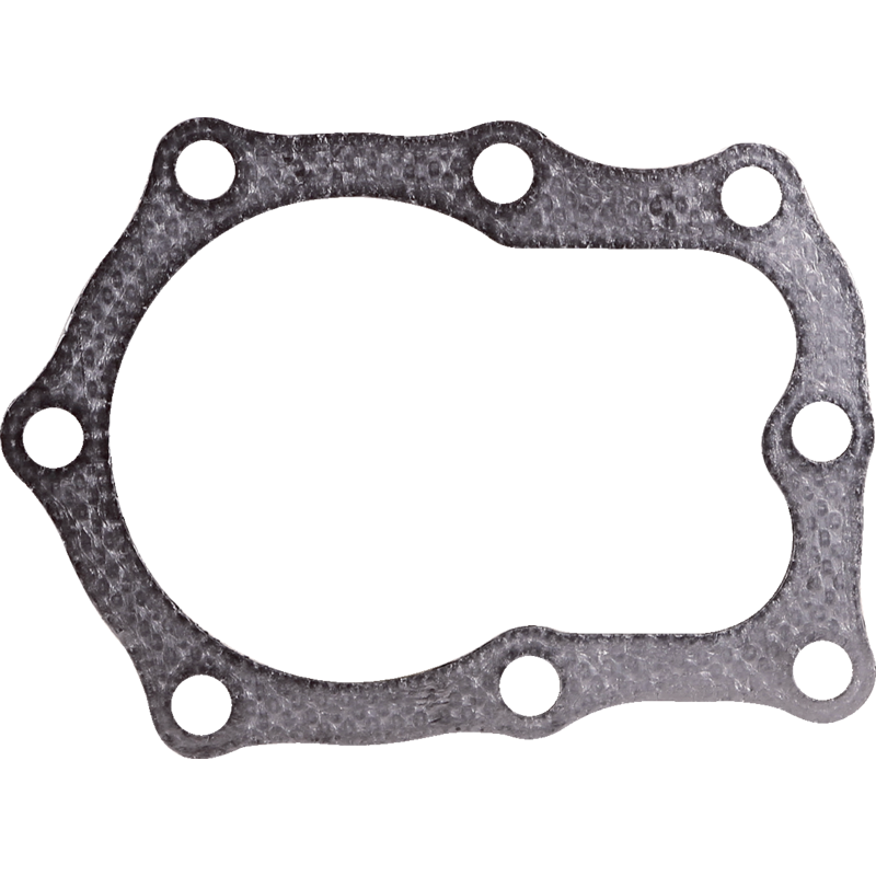 Briggs und Stratton Zylinderkopfdichtung 272171 Briggs und Stratton