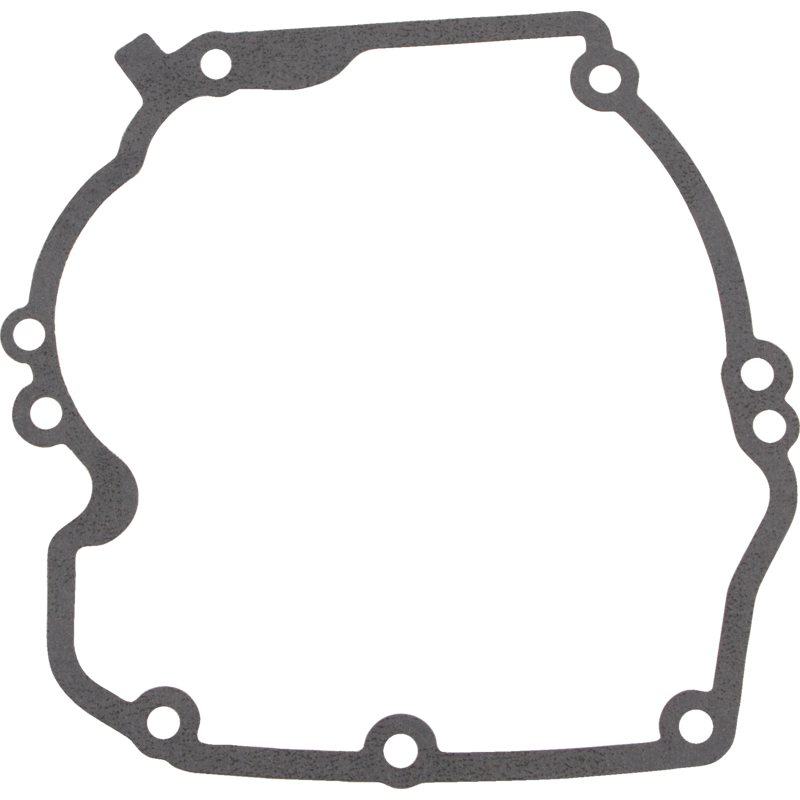 Briggs und Stratton Dichtung 272324 Briggs und Stratton
