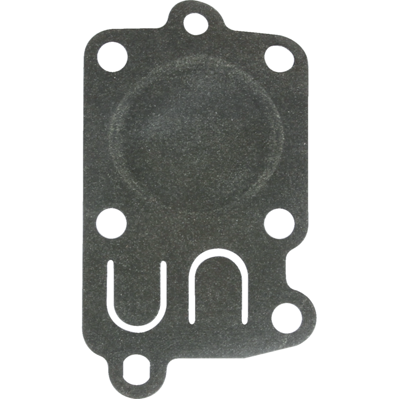 Briggs und Stratton Membran 272538S