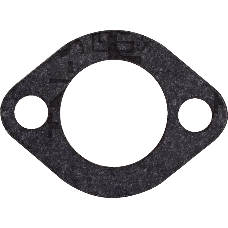 Briggs und Stratton Ansaugkrümmerdichtung 27909S Briggs und Stratton