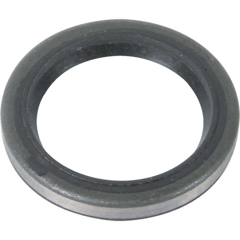 Briggs und Stratton Wellendichtring 294606S – anstelle von Modell: 100202 Briggs und Stratton